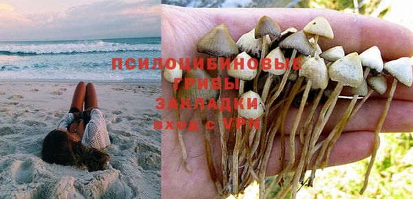 ECSTASY Абаза