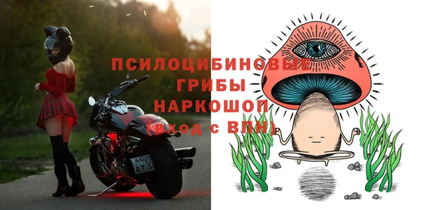 ECSTASY Абаза